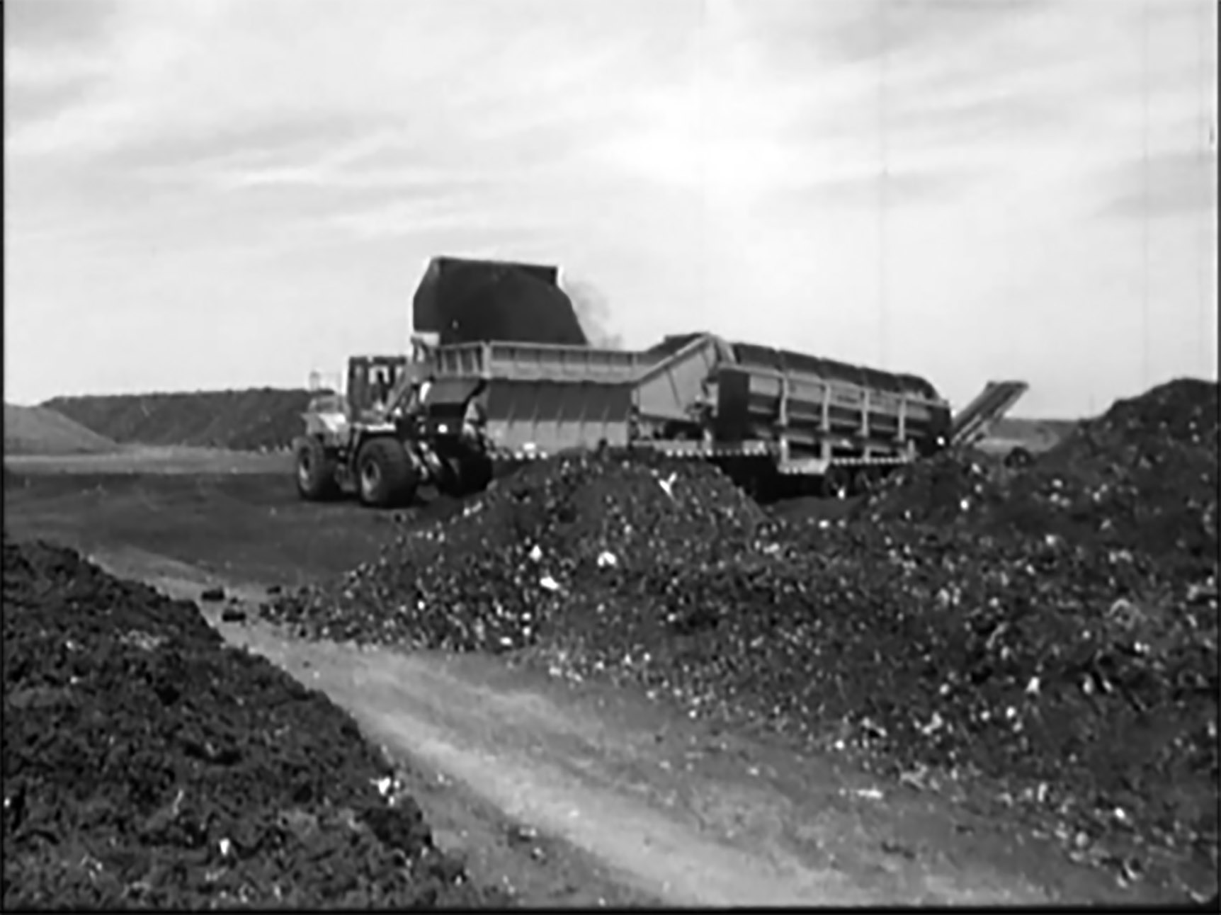 Szemétszelektáló telep (El Valley Centro, 1999)