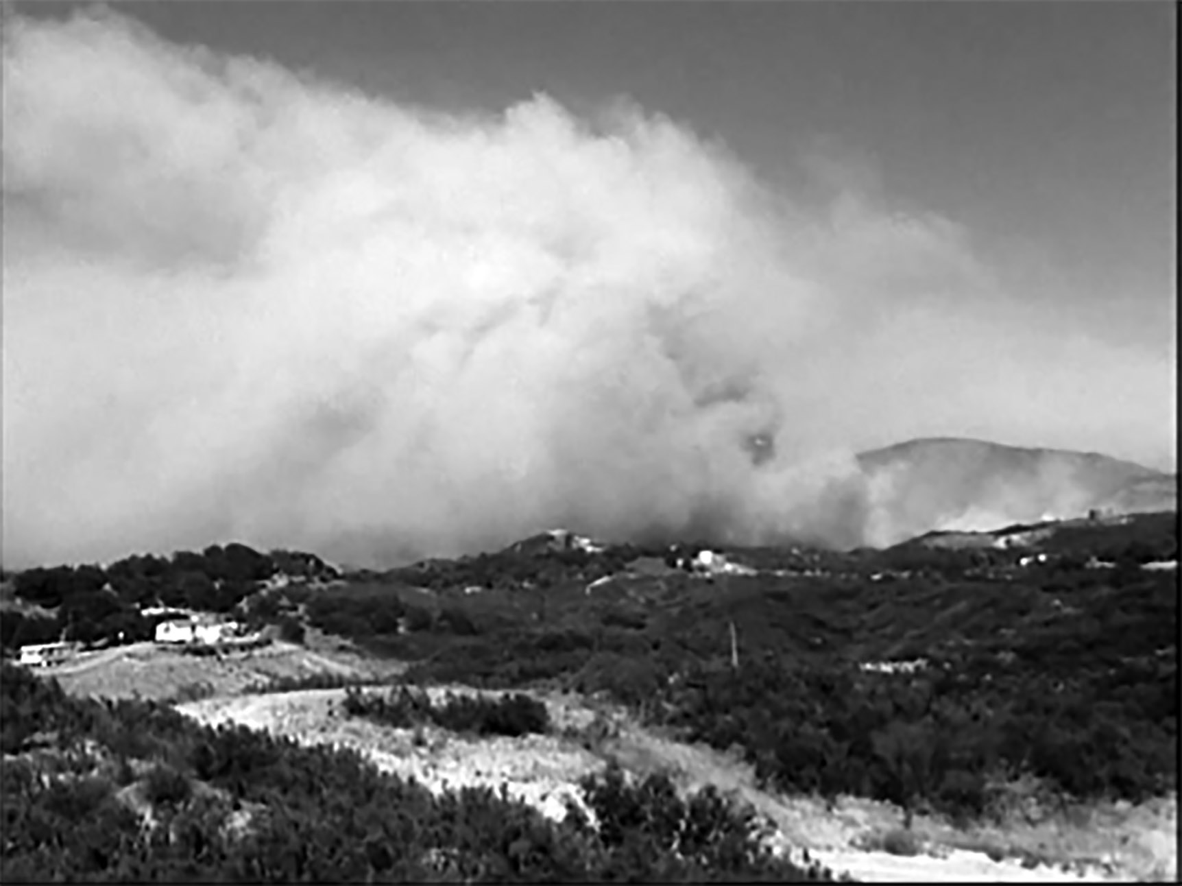 Bozóttűz (Los, 2001)