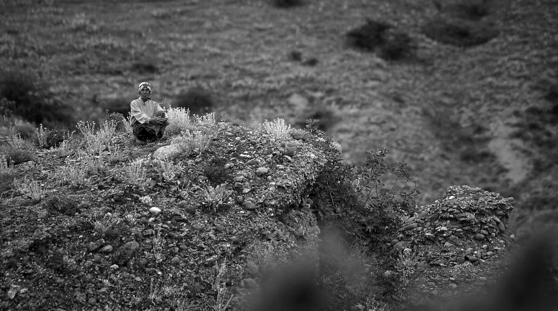 Mézkirálynő  (Tamara Kotevska –  Ljubomir Stefanov, 2019)