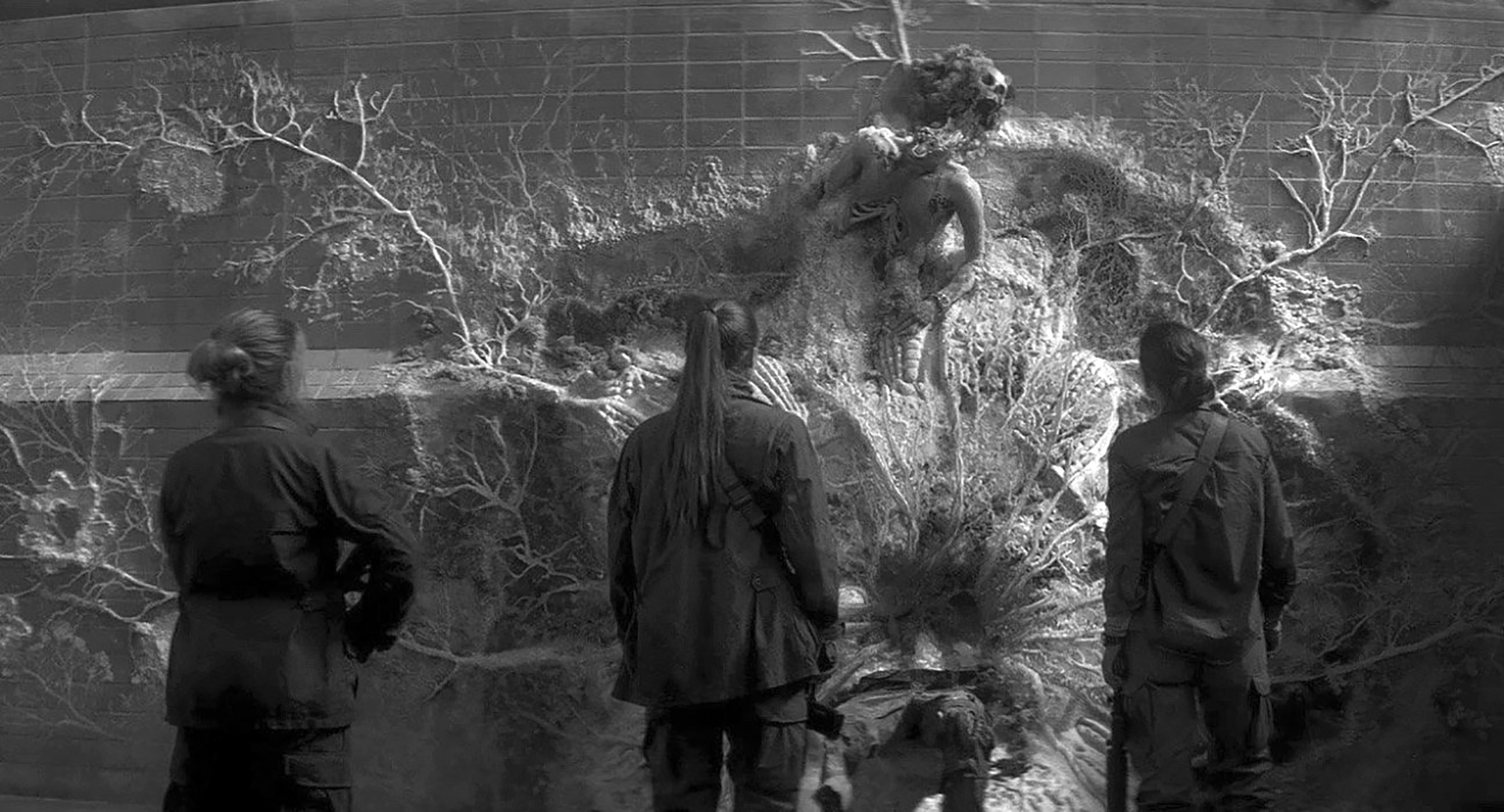 Expedíció  (Alex Garland, 2018) 