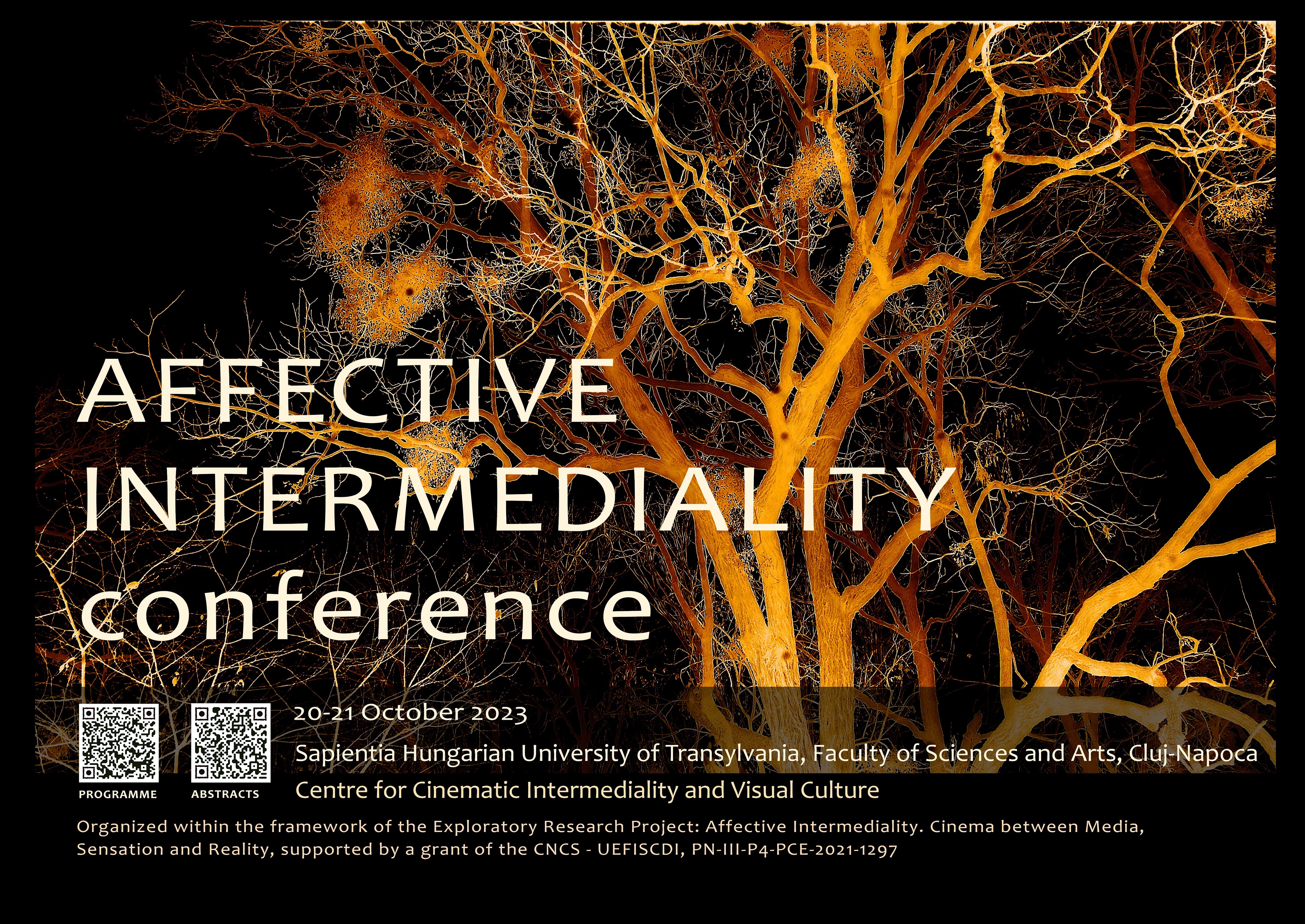 A konferencia plakátja 
